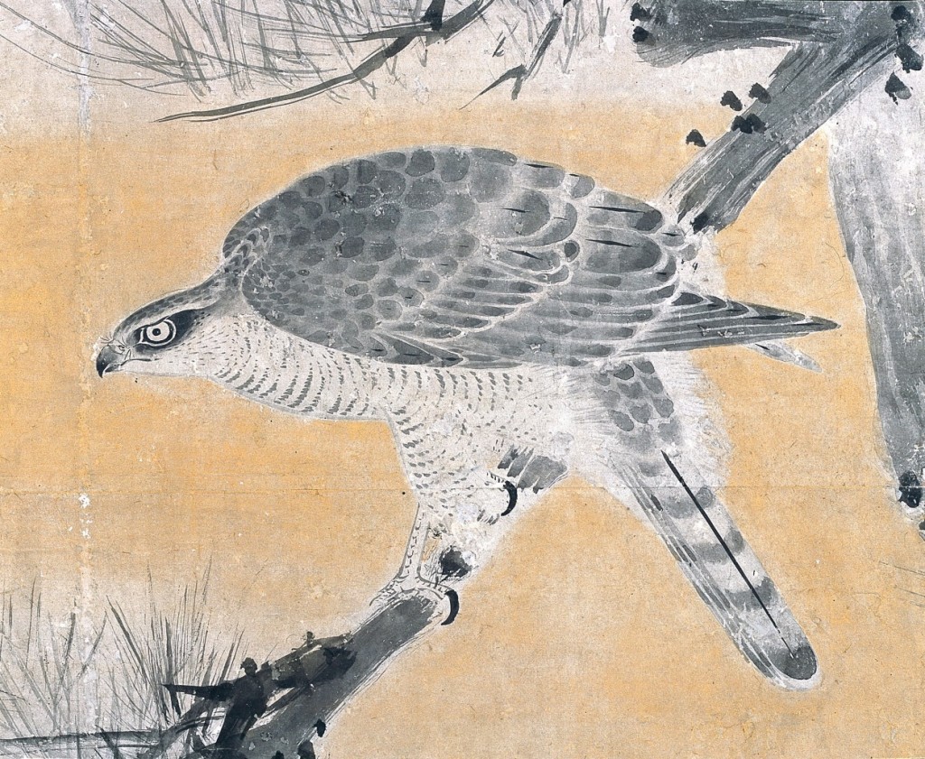 Hawks | Hikone Castle Museum